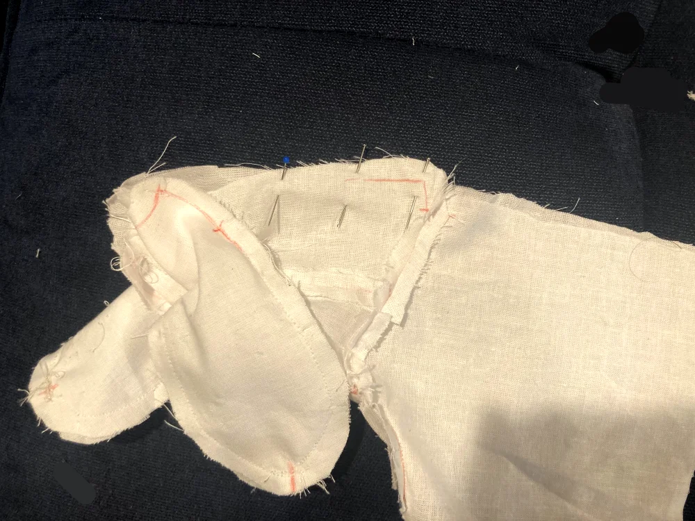 Pin the back seam